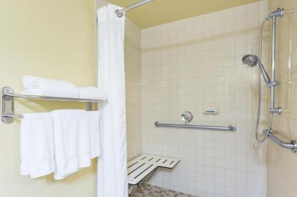 Holiday Inn Express & Suites Sarasota East an IHG Hotel - image 3