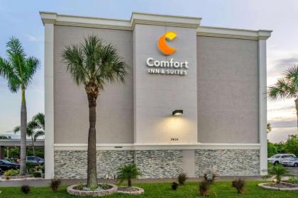 Comfort Inn & Suites Clearwater - St Petersburg Carillon Park - image 4