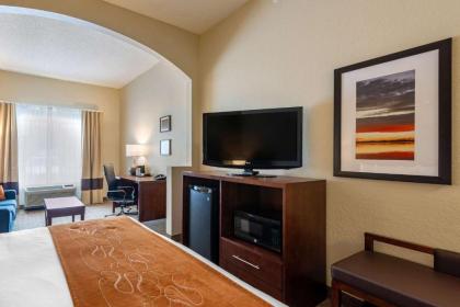 Comfort Suites Downtown - image 5