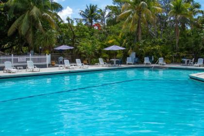 Banana Bay Resort & Marina - image 2