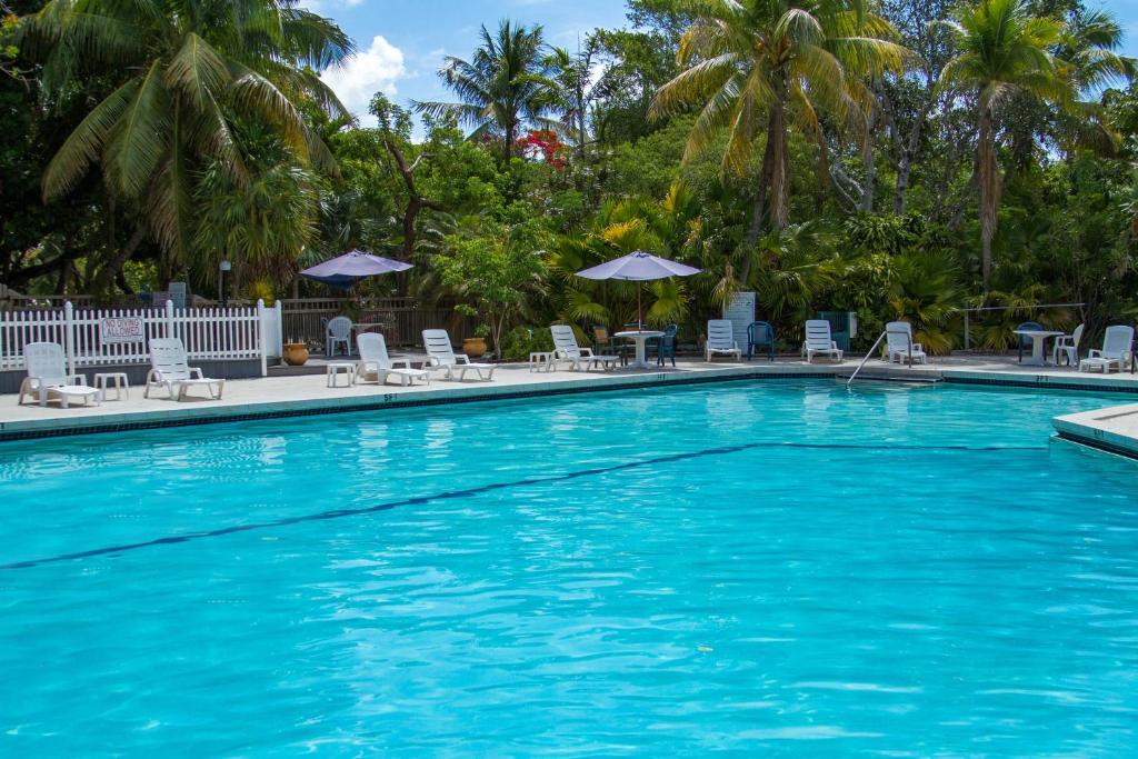 Banana Bay Resort & Marina - image 2