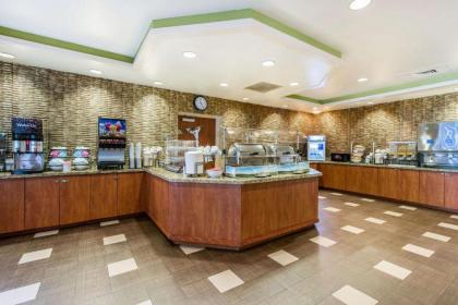 Comfort Inn & Suites Near Universal Orlando Resort-Convention Ctr - image 2