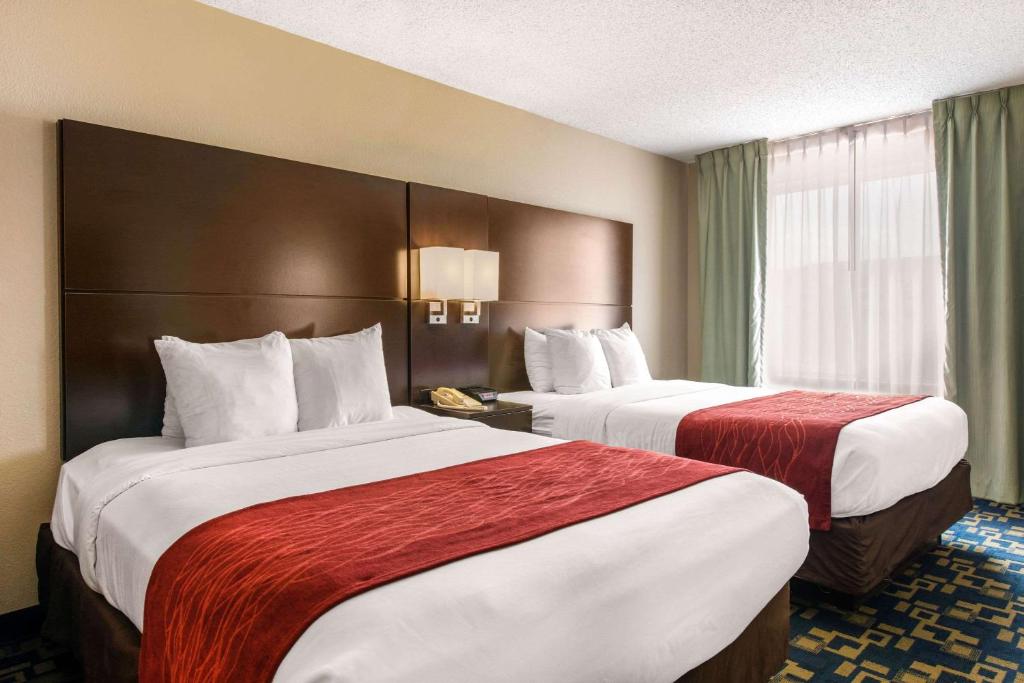 Comfort Inn & Suites Near Universal Orlando Resort-Convention Ctr - image 4