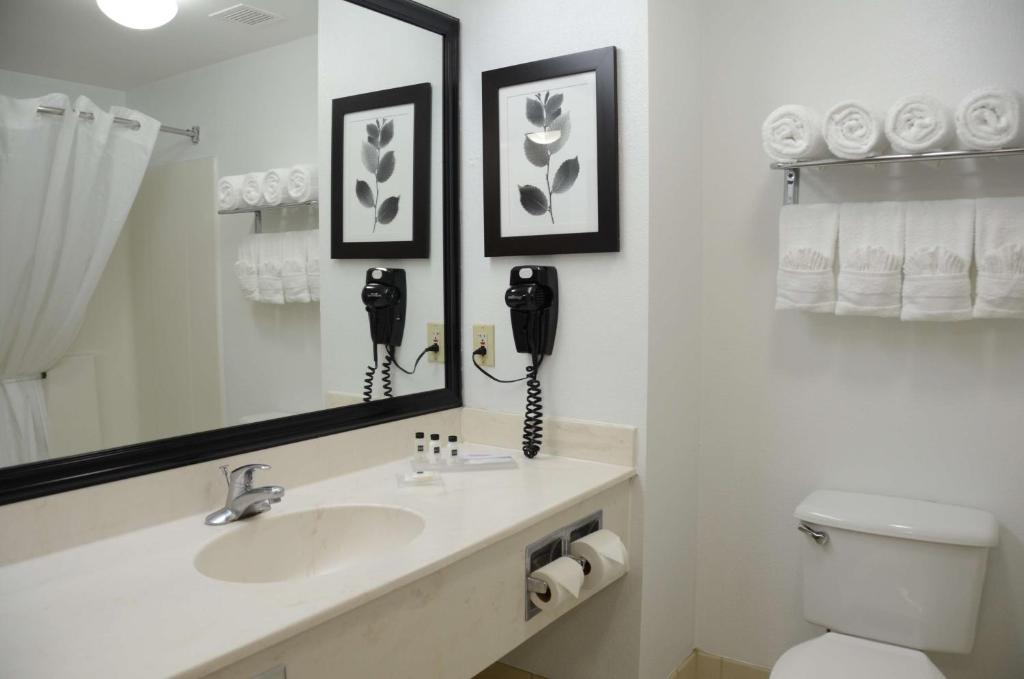 Country Inn & Suites by Radisson Jacksonville FL - image 2