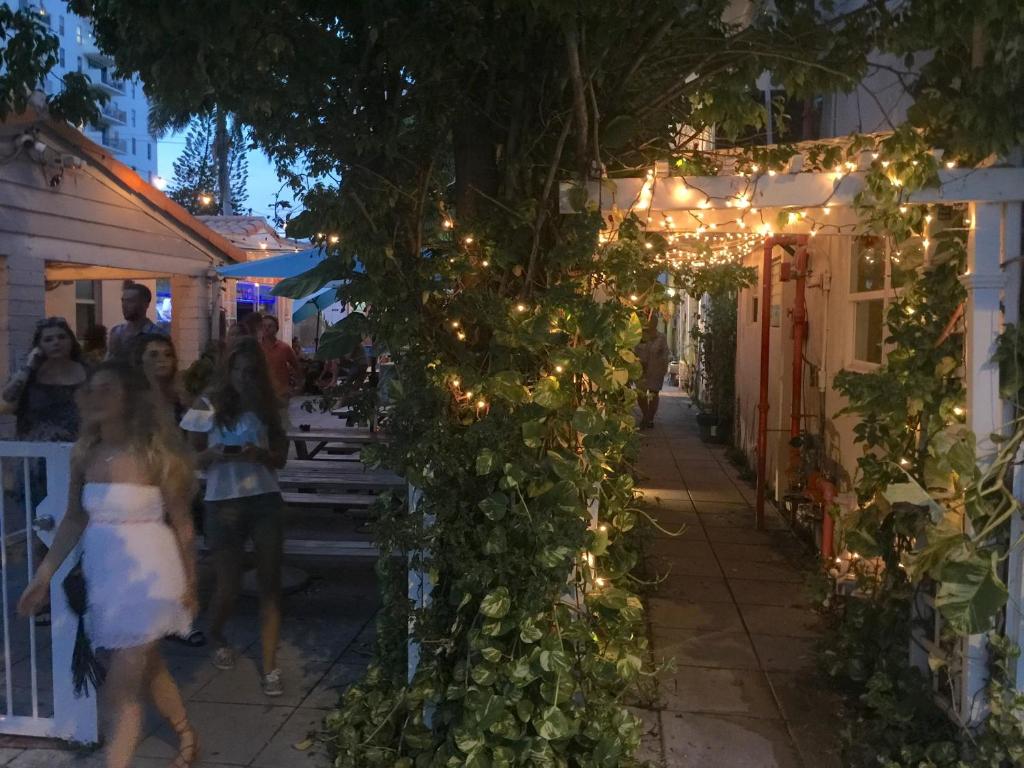 Bikini Hostel Cafe & Beer Garden - image 4