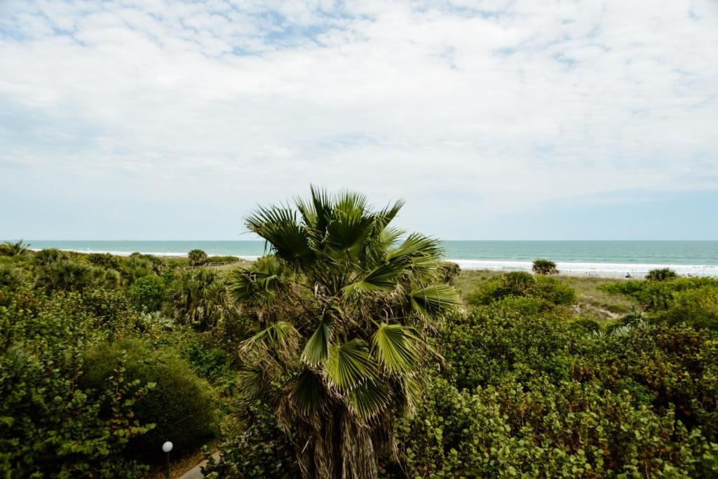 Discovery Beach Resort a VRI resort - image 4