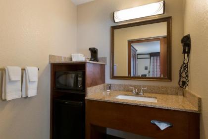 Rosen Inn at Pointe Orlando - image 3