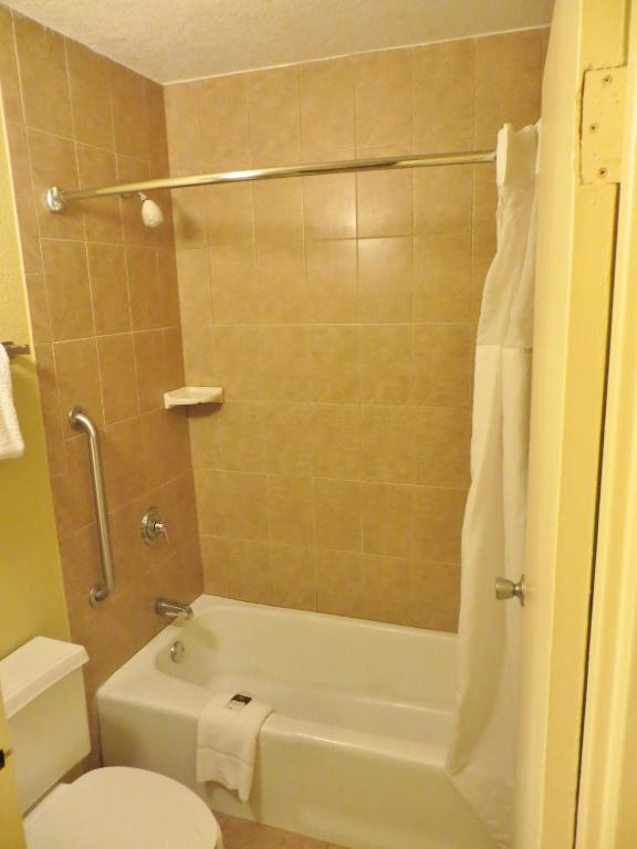 Rosen Inn Closest to Universal - image 5