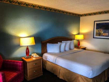 International Palms Resort & Conference Center Cocoa Beach - image 3