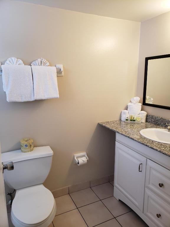 Clearwater Beach Hotel - image 2
