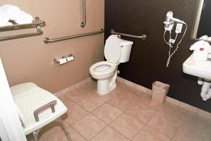 Microtel Inn & Suites by Wyndham Jacksonville Airport - image 2
