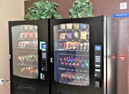 Microtel Inn & Suites by Wyndham Jacksonville Airport - image 4