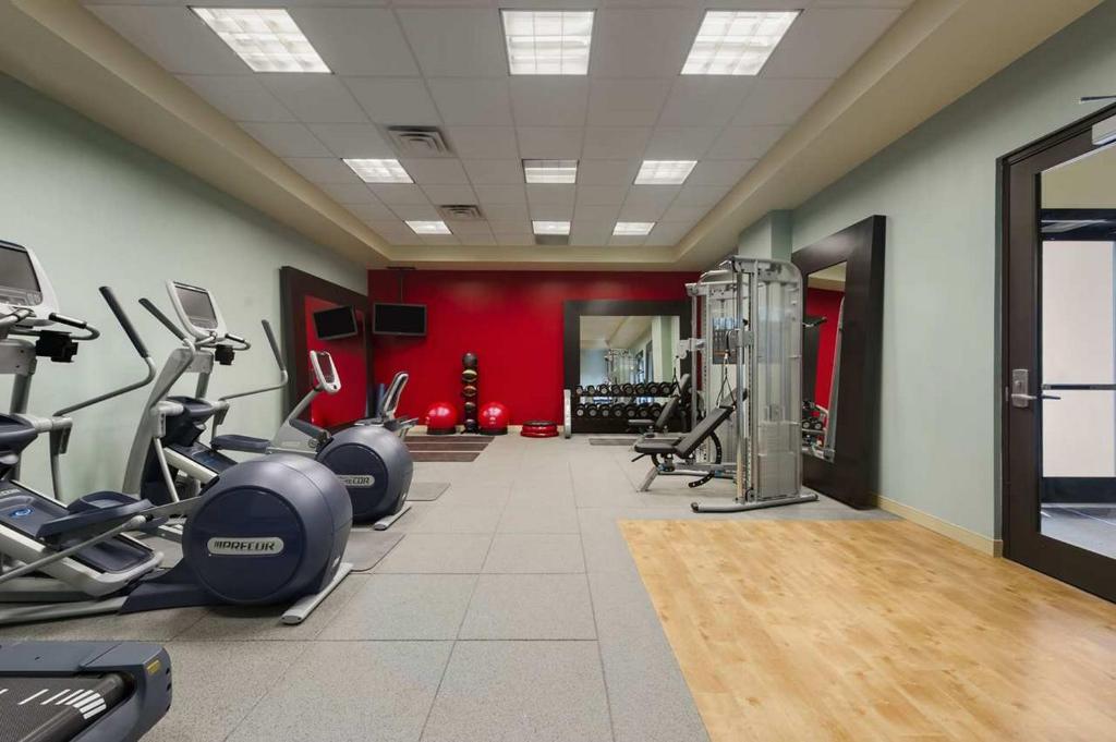 Embassy Suites by Hilton Orlando Lake Buena Vista South - image 5