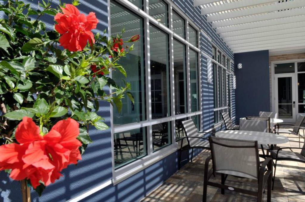 Staybridge Suites St. Petersburg FL an IHG Hotel - image 5
