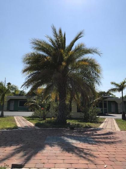 Apollo Inn - Cocoa - image 5