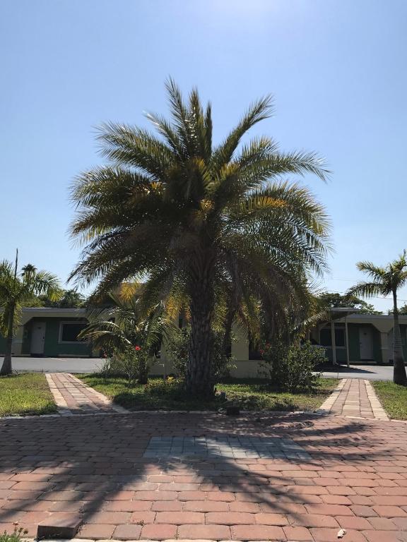 Apollo Inn - Cocoa - image 5