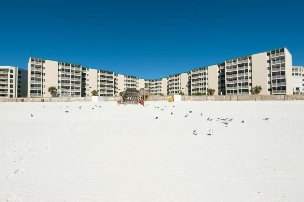 Holiday Surf & Racquet Club 710 by RealJoy - image 4
