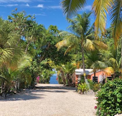 the Pelican Key Largo Cottages Key Largo Florida