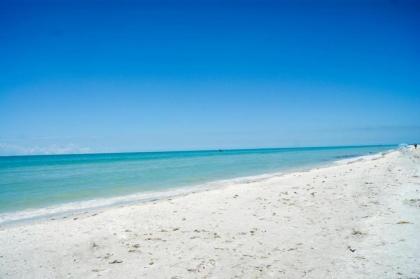 Sanddollar #A202