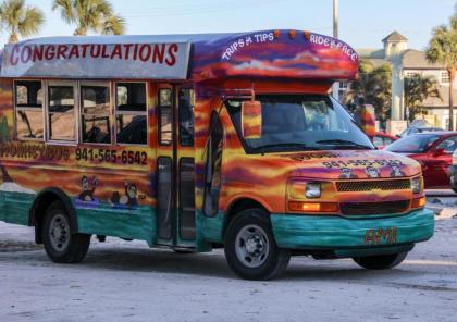 Anna Maria Island Beach Sands - image 5