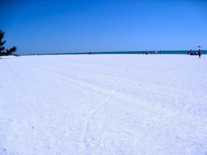 The Anna Maria Island Beach Palms 5B - image 5