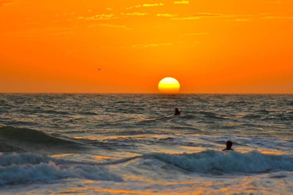 The Anna Maria Island Beach Palms 6B - image 3