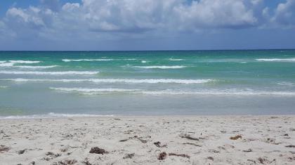 2 Bedroom 2 Bath Beachfront Condo on Miami Beach Millionaire Row - image 3