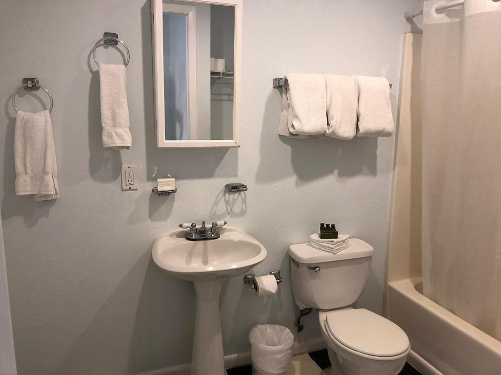 Sabal Palms Inn - image 4