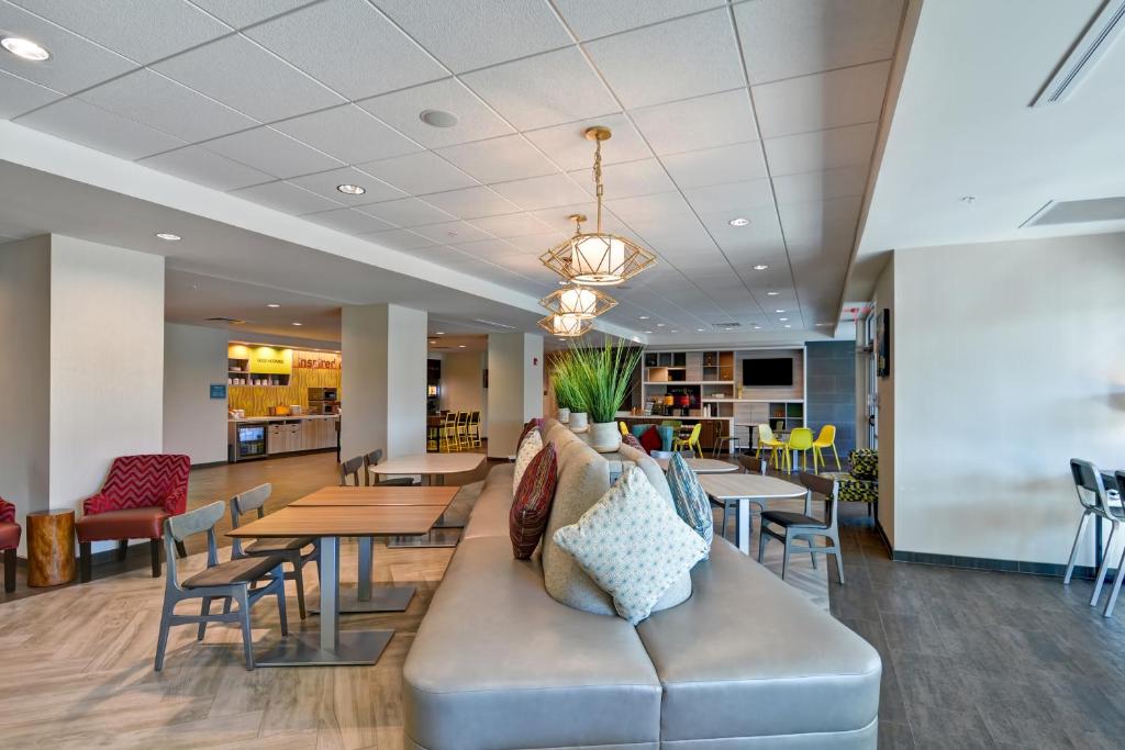 Home2 Suites By Hilton Tampa USF Near Busch Gardens - image 4