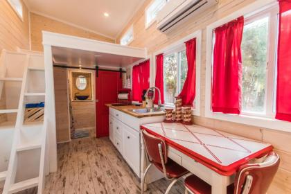 Tiny House Siesta - image 3