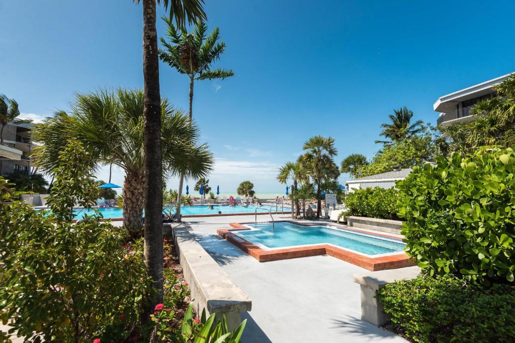 Coconut Palms - main image