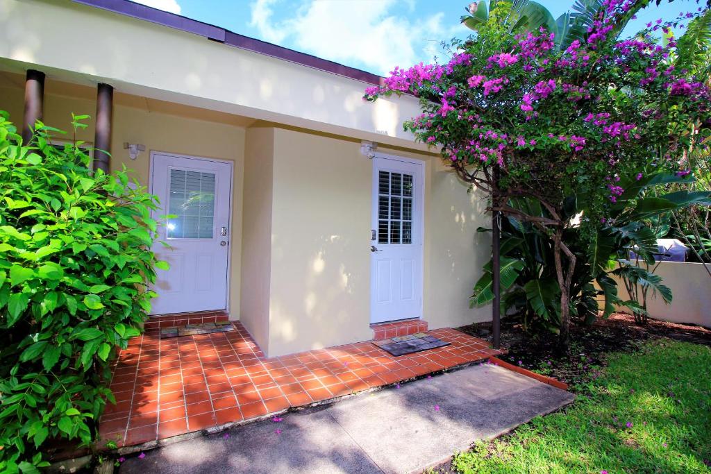 Tropical Getaway Studio-628B - image 4