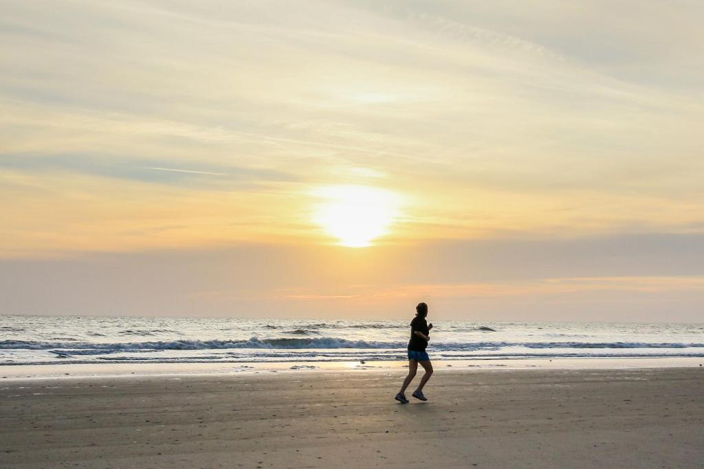 Golden Isles - image 5