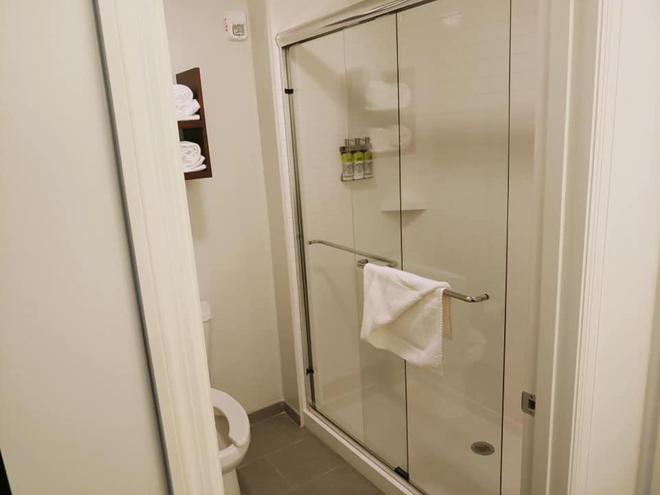 Staybridge Suites - Naples - Marco Island an IHG Hotel - image 5