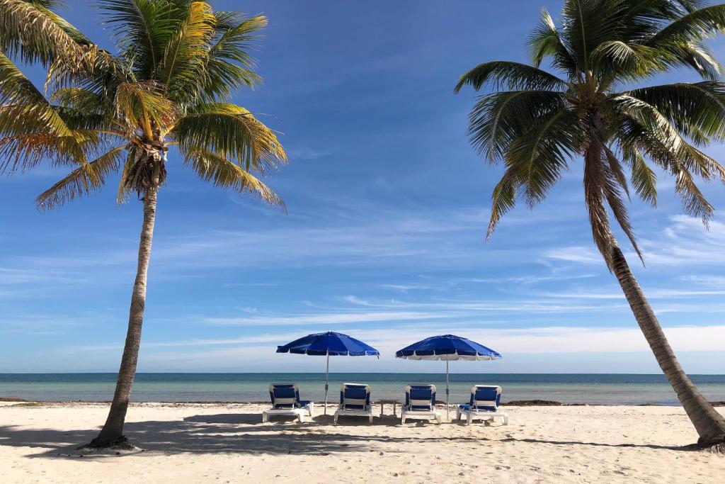 Paradise Beach - image 2