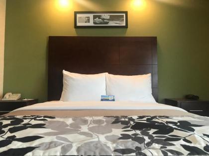 Baymont by Wyndham Flat Rock - image 12