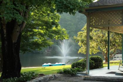 Mill House Lodge - Flat Rock - image 5