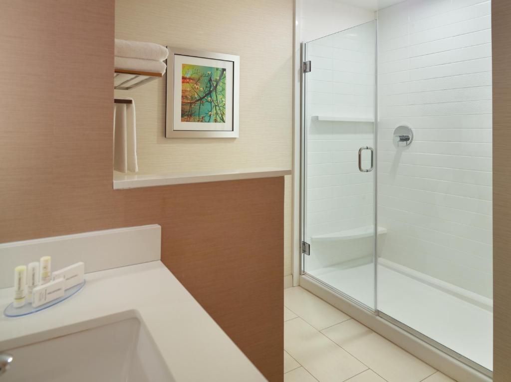 Fairfield Inn & Suites by Marriott Hendersonville Flat Rock - image 4