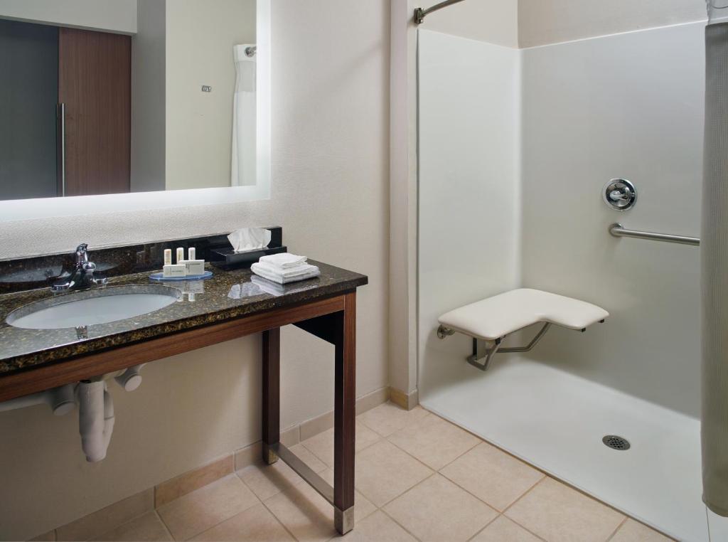 Fairfield Inn & Suites by Marriott Asheville Airport/Fletcher - image 2