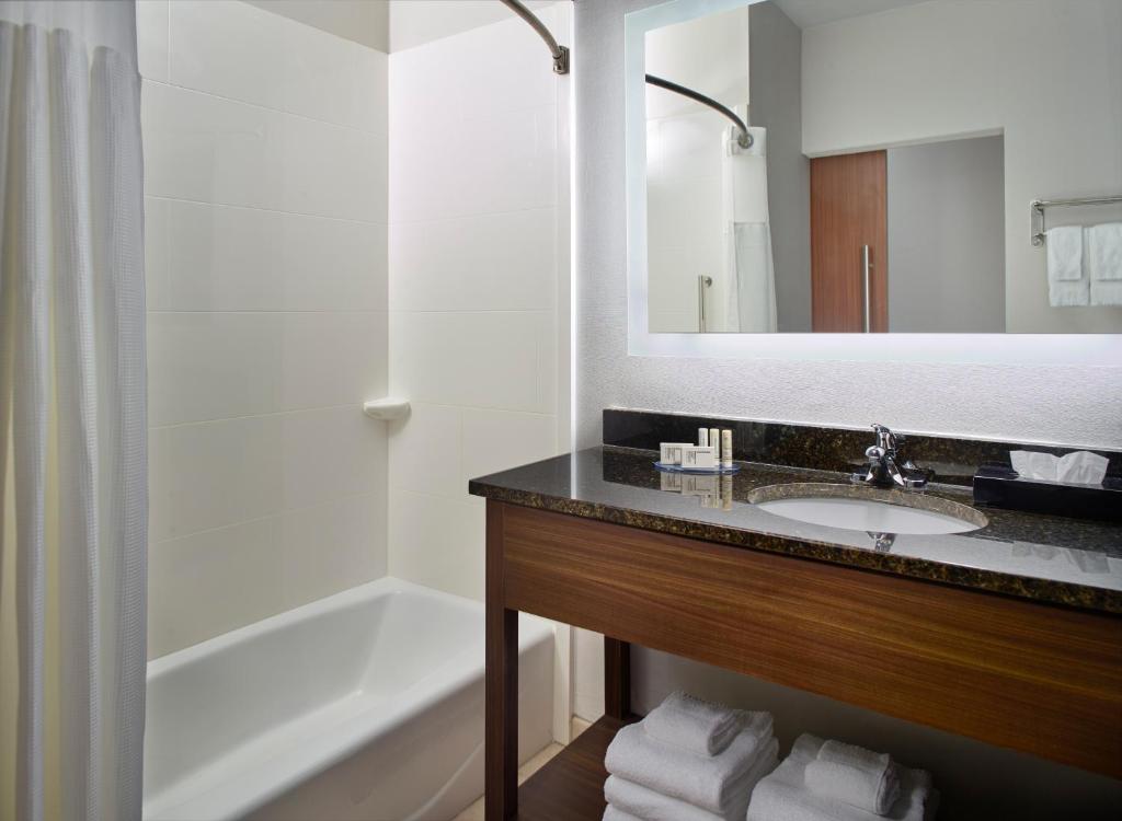 Fairfield Inn & Suites by Marriott Asheville Airport/Fletcher - image 3