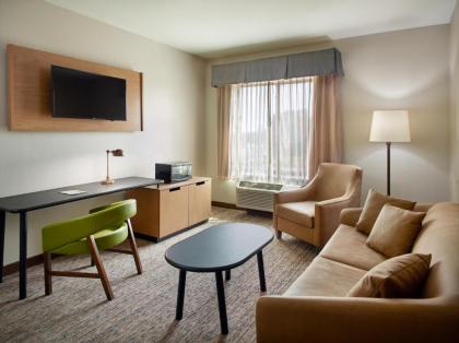 Fairfield Inn & Suites by Marriott Asheville Airport/Fletcher - image 9