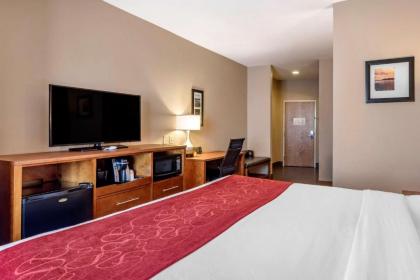 Comfort Suites Florence Shoals Area - image 10
