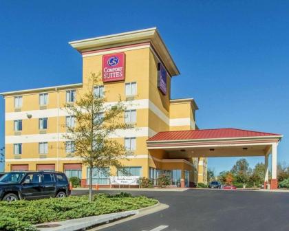 Comfort Suites Florence Shoals Area - image 2