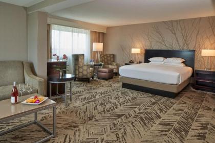 Hilton Cincinnati Airport - image 18