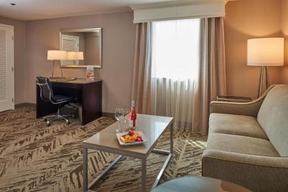 Hilton Cincinnati Airport - image 19