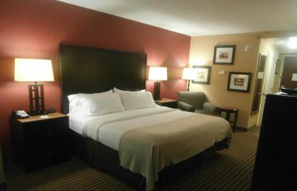 Holiday Inn Florence an IHG Hotel - image 4