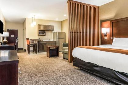 Comfort Suites Florence - Cincinnati South - image 13
