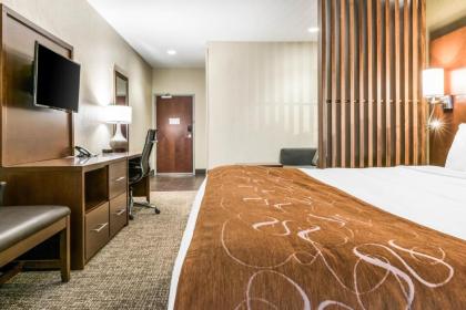 Comfort Suites Florence - Cincinnati South - image 7