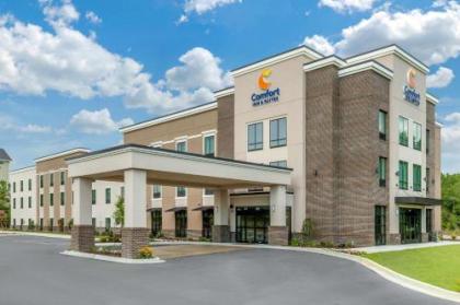 Comfort Inn  Suites South Carolina