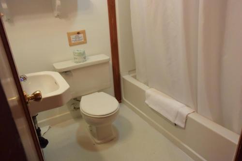 Park Motel and Cabins - image 4